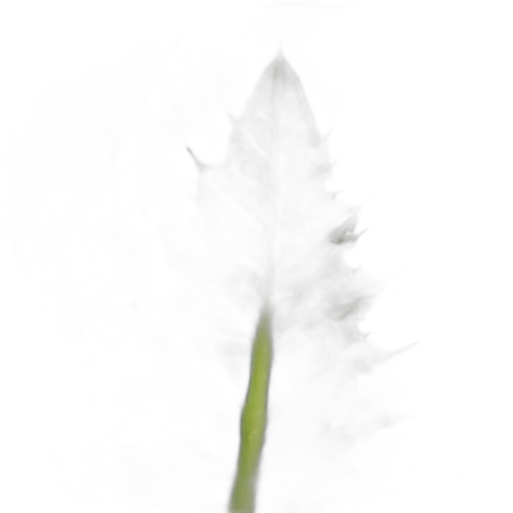 Mariendistel — natürliche Pflanze für Wohlbefinden